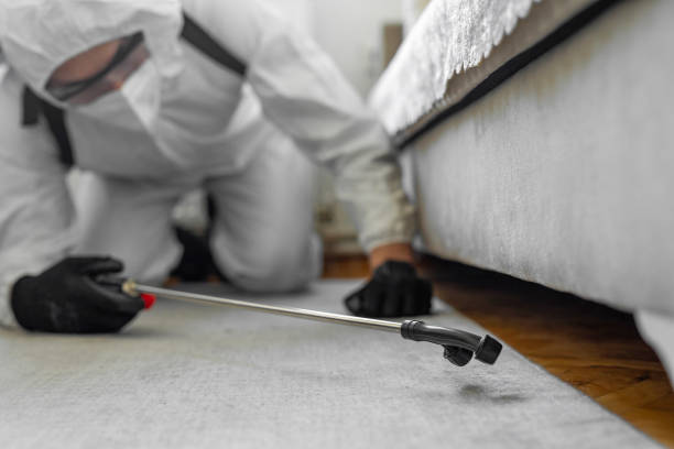 Professional Ant Control technician working in Orange Grove, TX