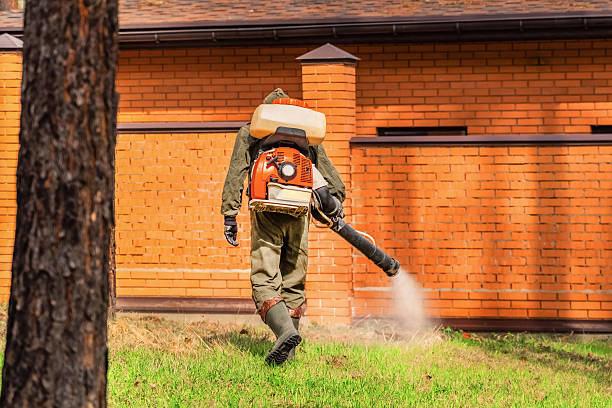 Trusted Ant Control service in Orange Grove, TX - Nex Pest Control